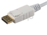 Mini DisplayPort to DisplayPort